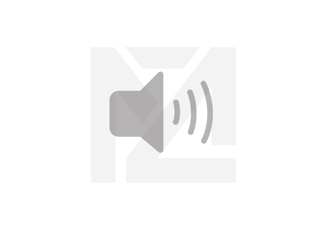 Descriptive text for image